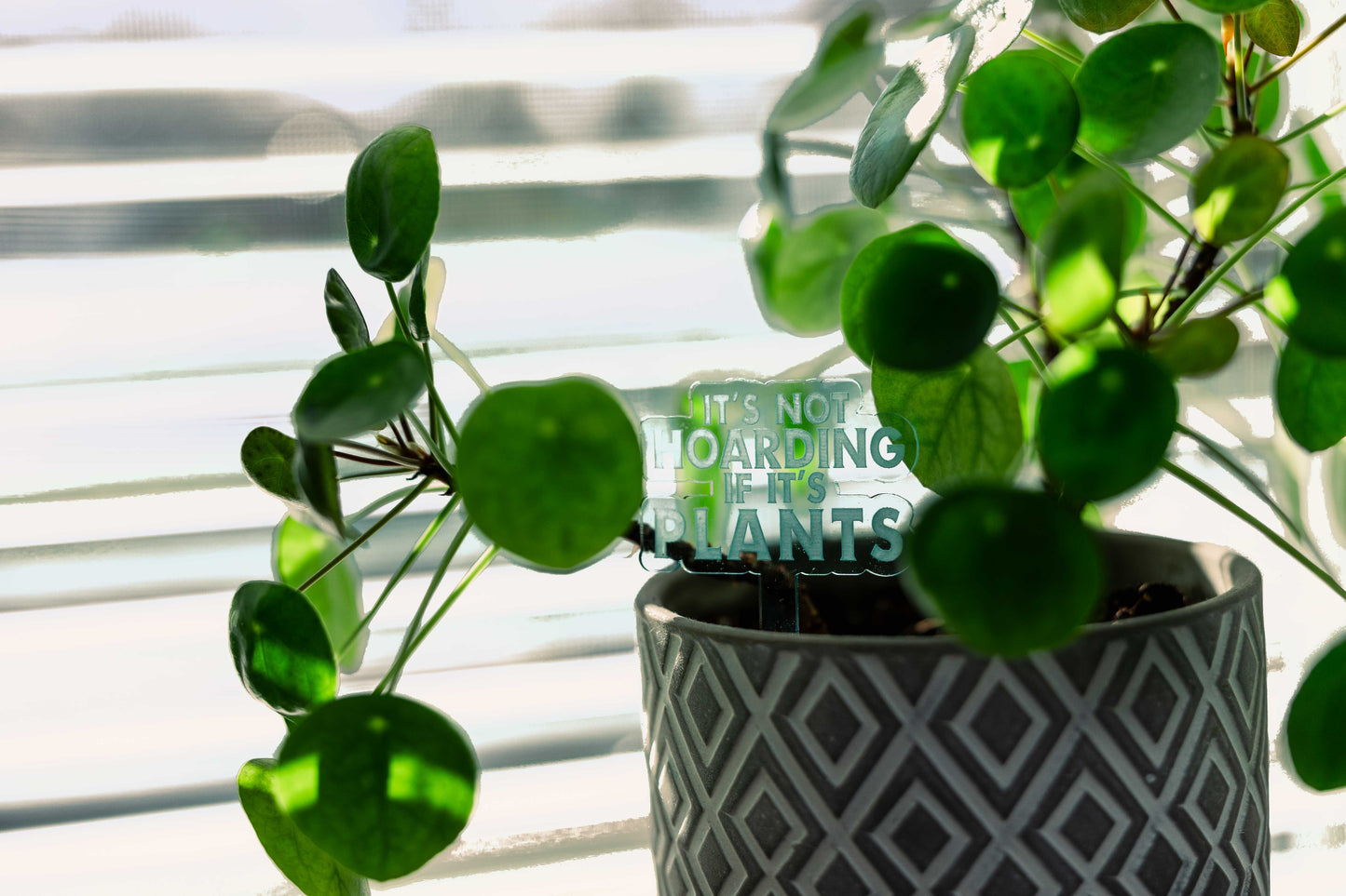 It's Not Hoarding Plant Stake