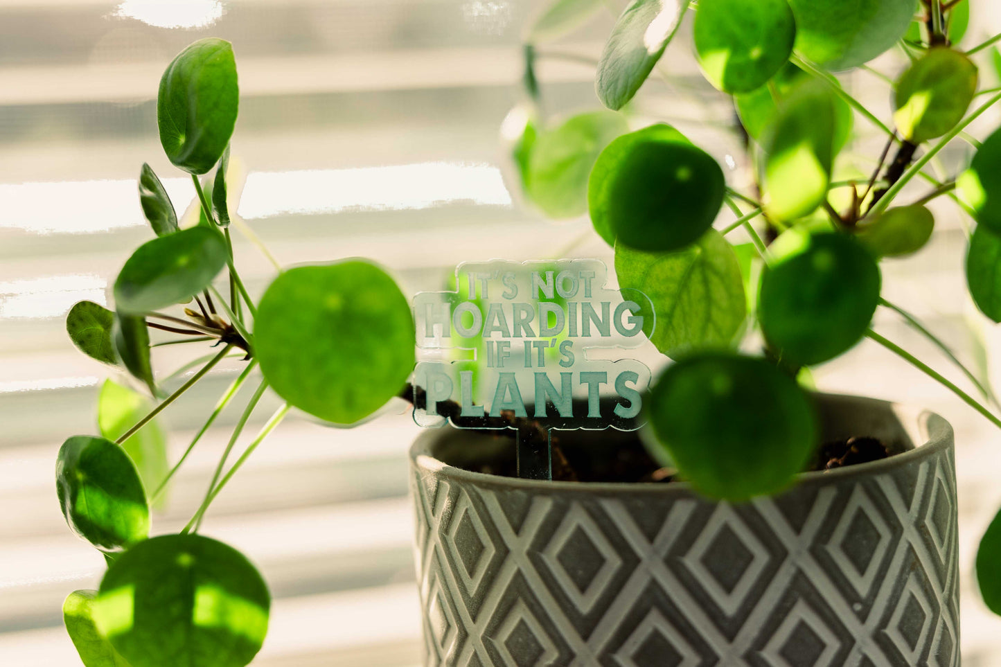 It's Not Hoarding Plant Stake