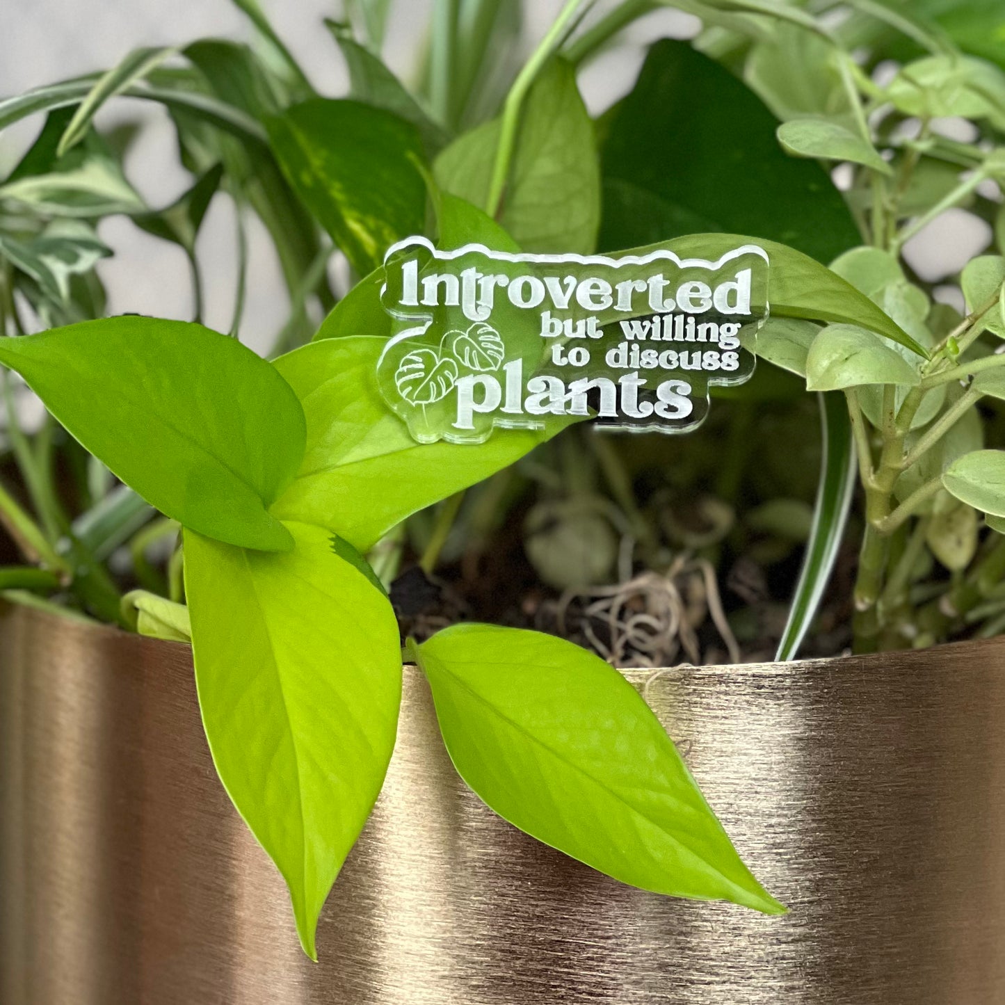 Pun-derful Plant Stakes (Bundle 3)