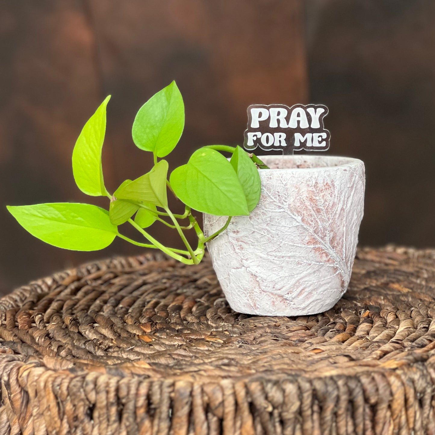 Pun-derful Plant Stakes (Bundle 1)