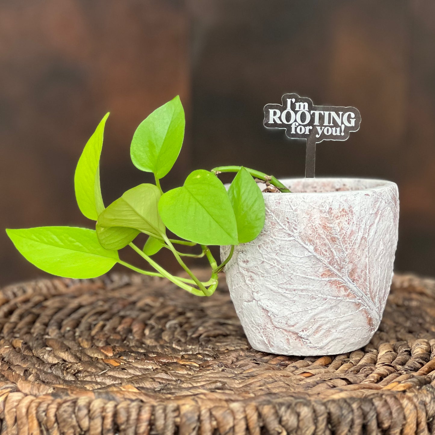 Pun-derful Plant Stakes (Bundle 1)