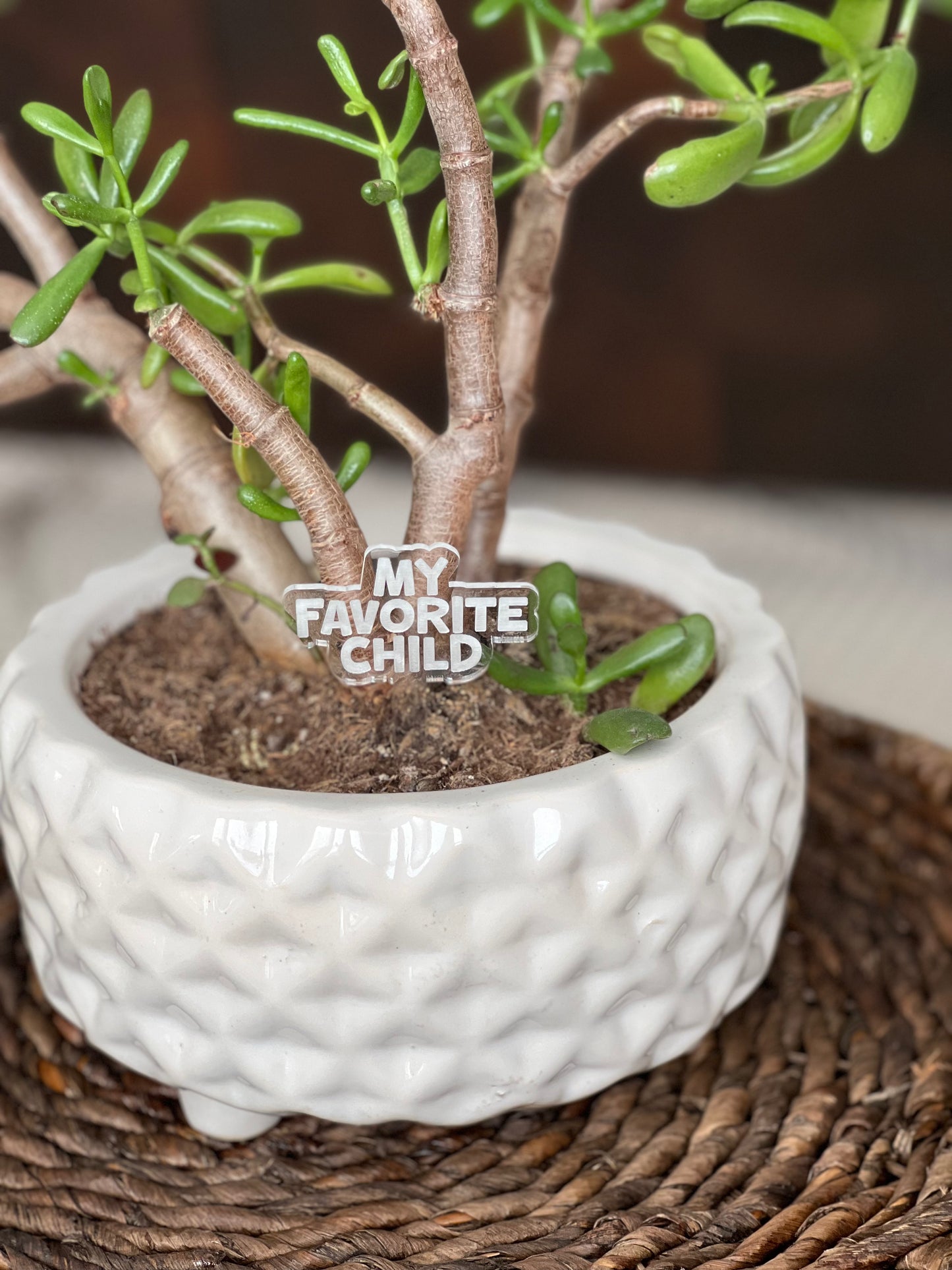 Pun-derful Plant Stakes (Bundle 1)