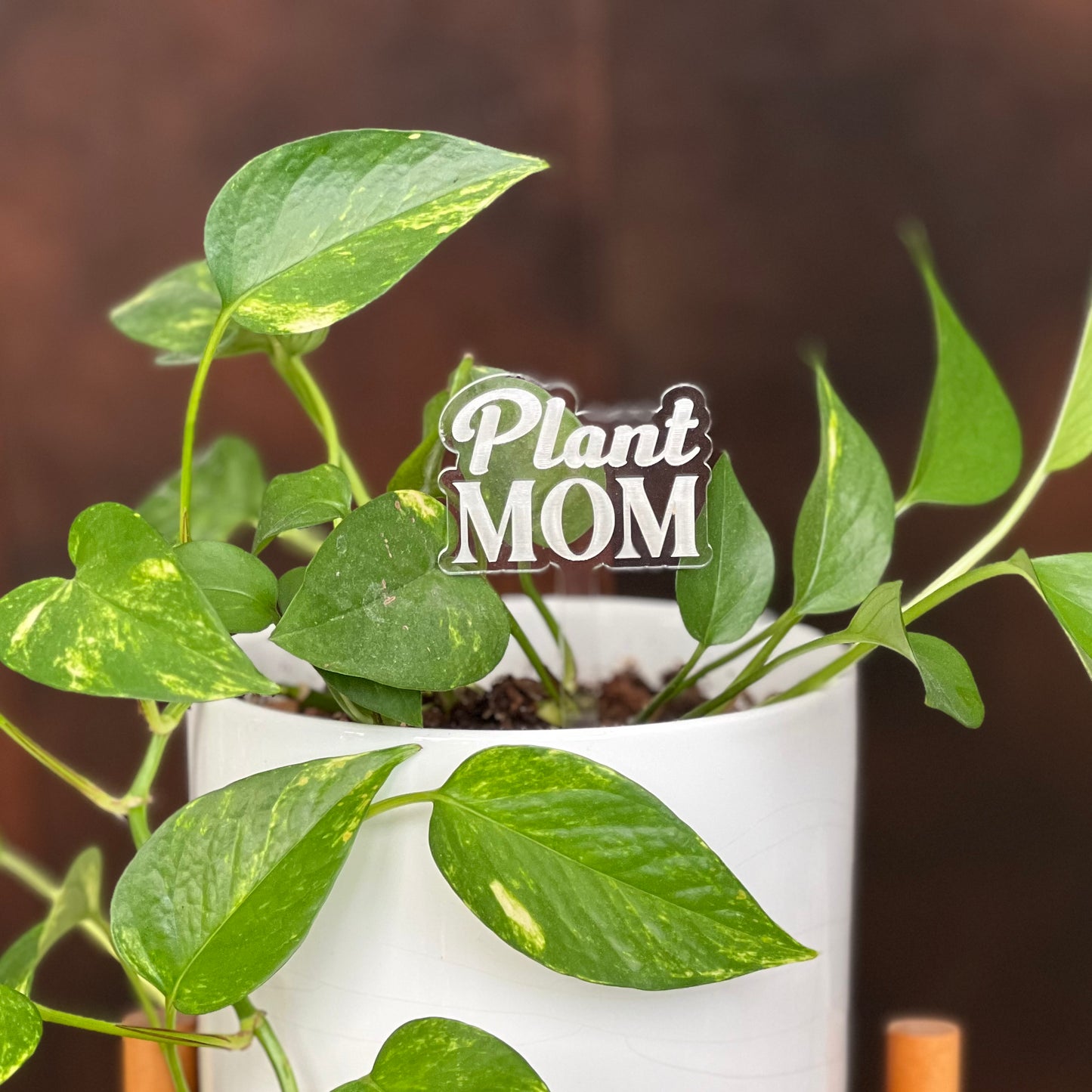 Pun-derful Plant Stakes (Bundle 3)