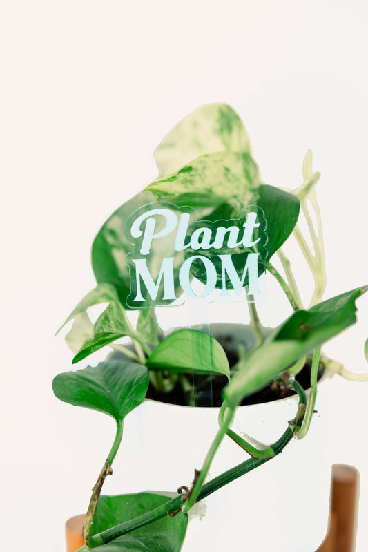 Plant Mom Plant Stake