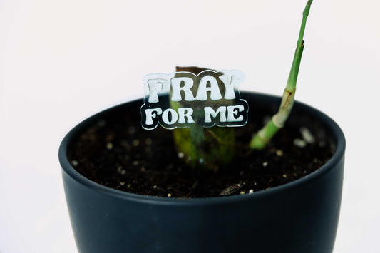 Pray for Me Plant Stake