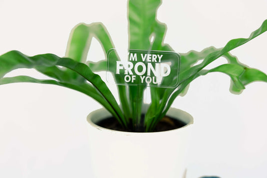 Frond of You Plant Stake