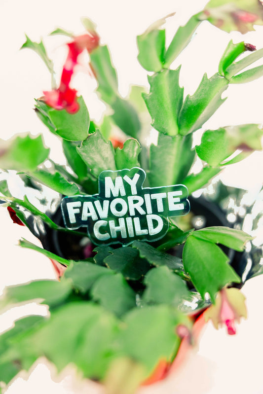 Favorite Child Plant Stake